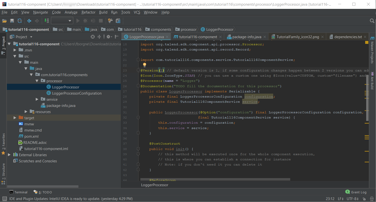 Project view